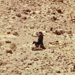 thhe_0660.jpg