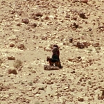 thhe_0661.jpg